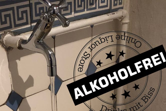 Alkoholfreier Gin für Genuss mit 0 % vol