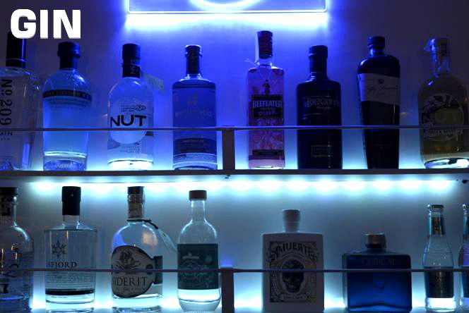 Gin in vielen Sorten und Farben online kaufen!